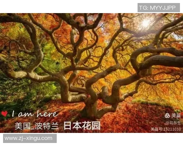 多伦多与波特兰伐木产业发展趋势及市场前景综合分析与预测